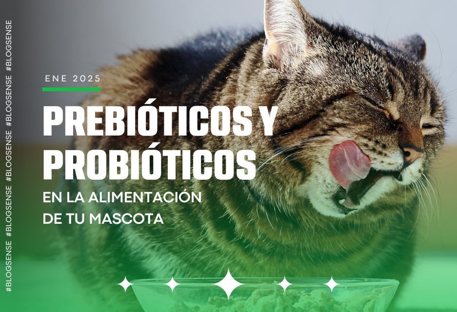 Prebióticos y probióticos en la alimentación de tu mascota